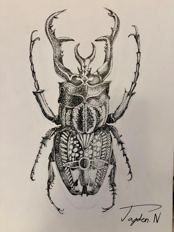 Beetle